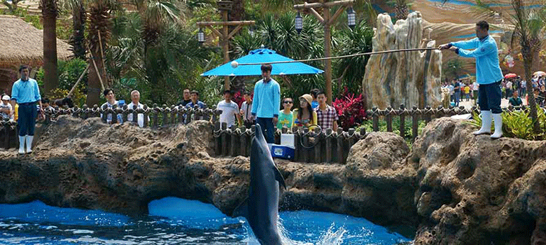 20150430033855438.gif