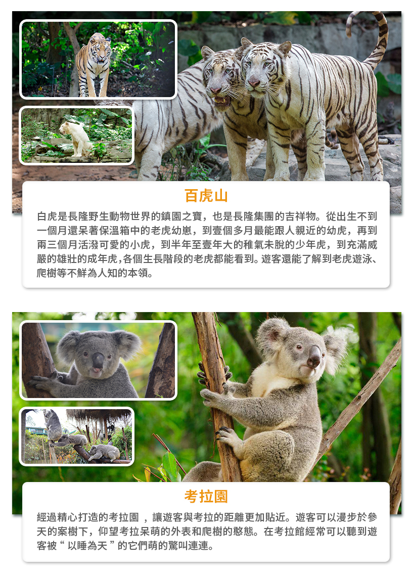 长隆动物世界详情页繁体_02.jpg