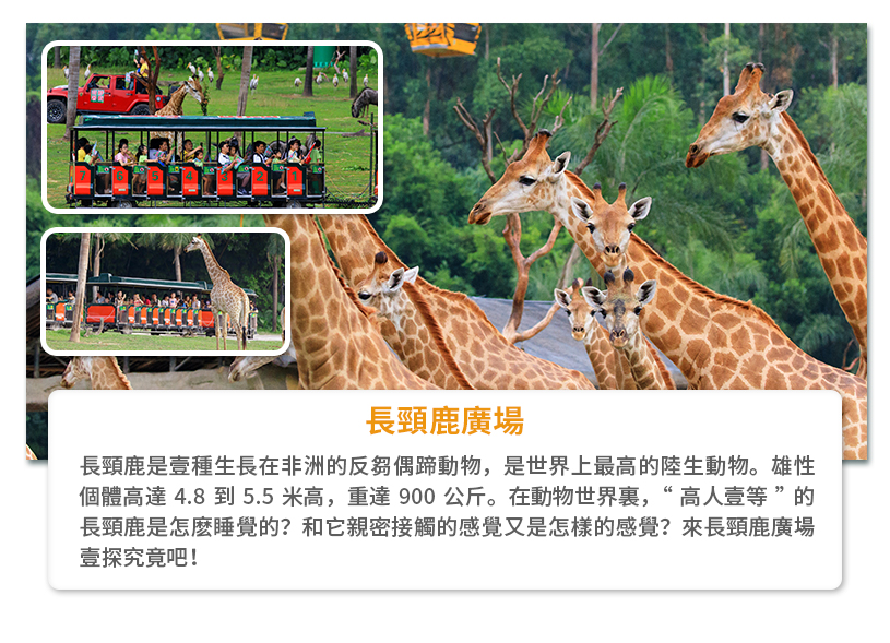 长隆动物世界详情页繁体_04.jpg
