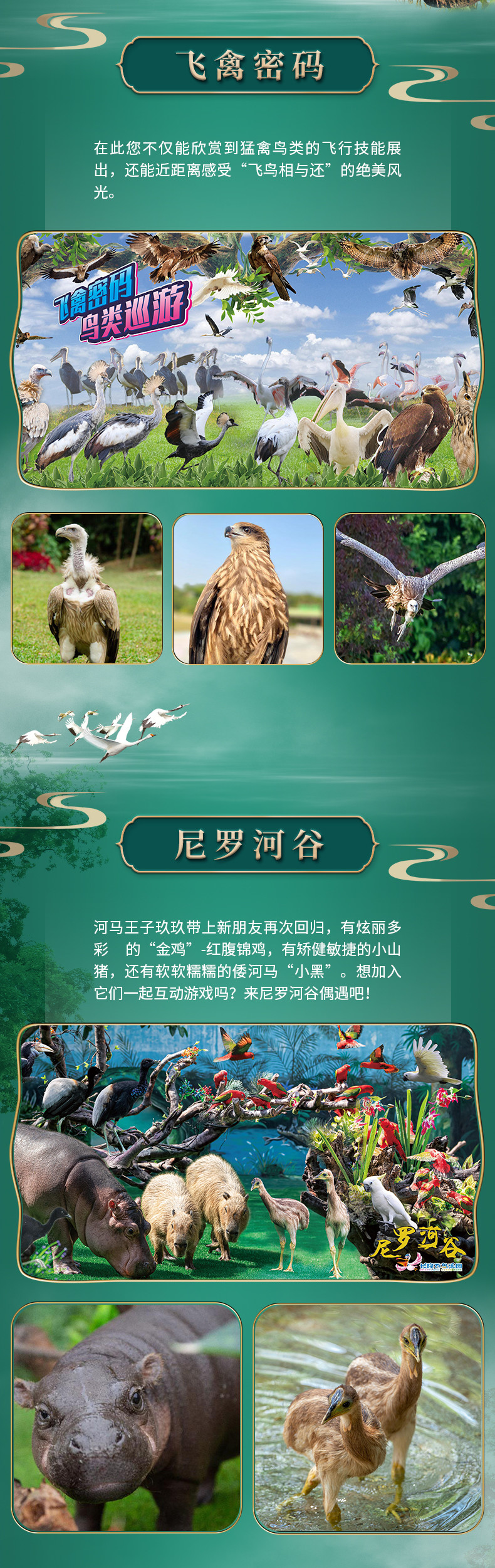 a05e4f0b42cd80dc6adddf52c1.jpg